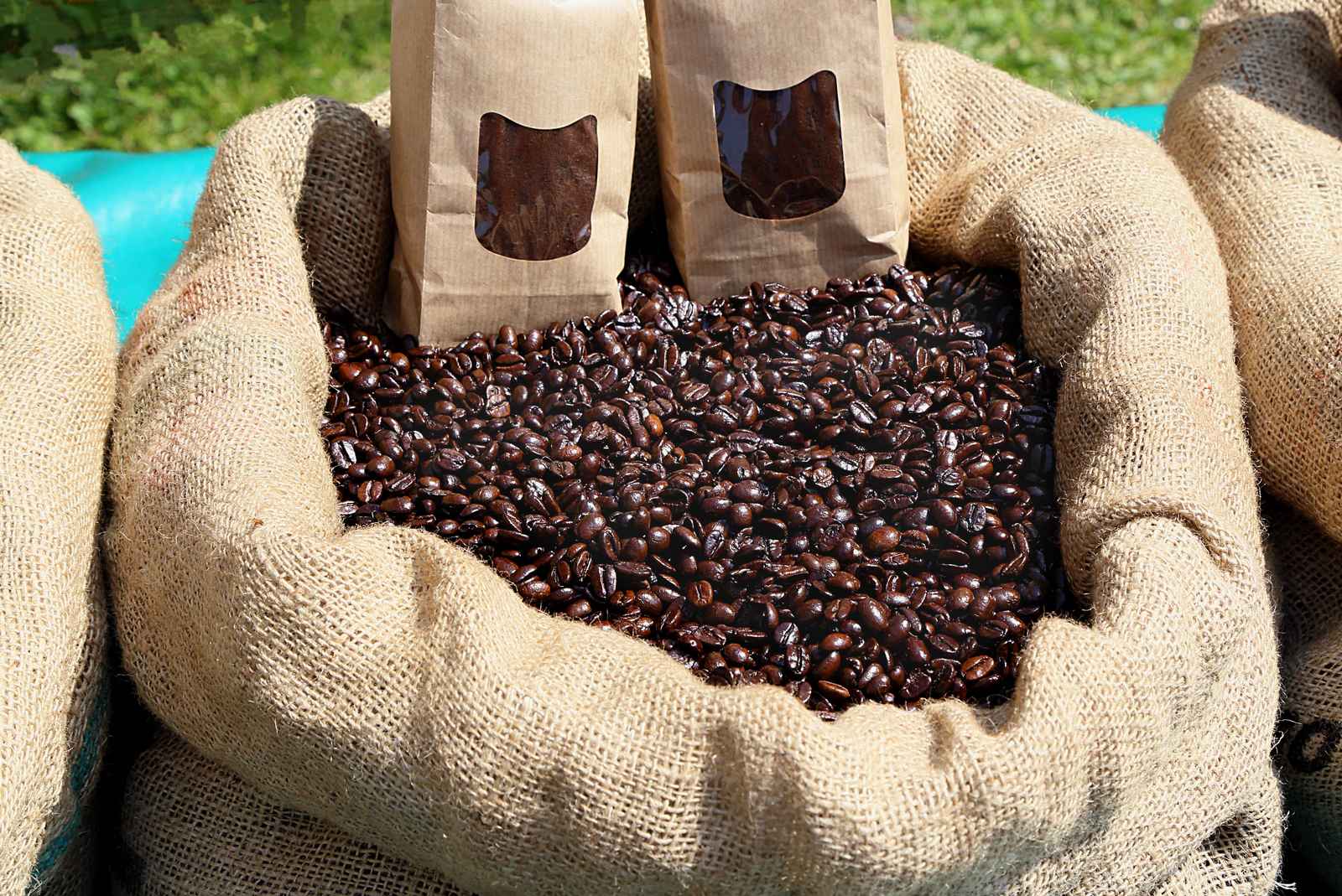 Kopi Arabika Gayo 500g