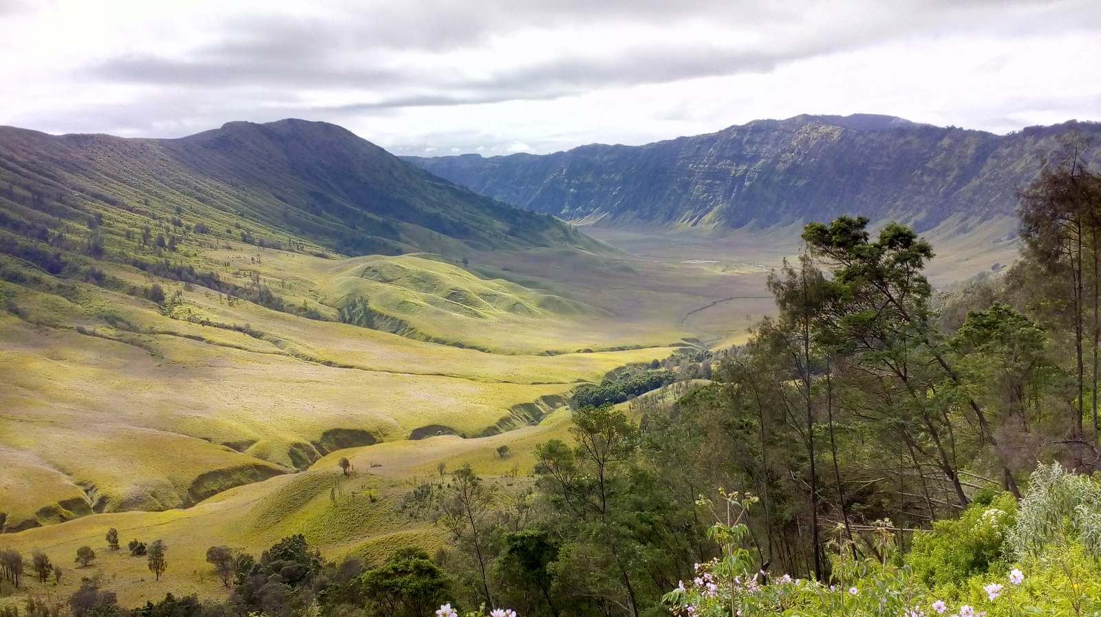 Savana Bromo